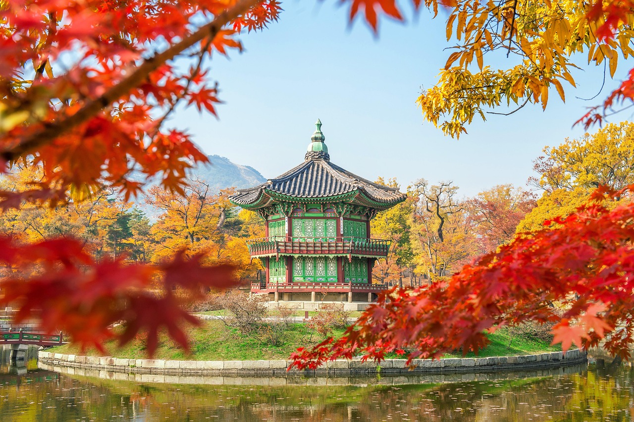 korea, tree, gyeongbokgung, nature, seoul, southkorea, maple leaves, leaf, soil, sand